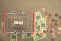 Tax written with wooden cubes top view in shopping basket with money coins and bills on the background. Business and financial