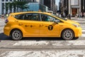 Taxi cab side on cross walk, Fifth Avenue, New York City.