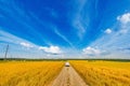 Taxi car in the field. Royalty Free Stock Photo