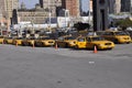 Taxicabs waiting for customers
