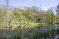 Taxodium trees at Romberg Park of the European Garden Heritage Network Royalty Free Stock Photo