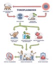 Taxoplasmosis illness and parasitic disease contamination outline diagram