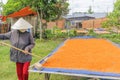 Tay Ninh Chili Shrimp Salt ( Muoi Tom ), Tay Ninh province, Vietnam