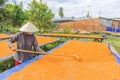 Tay Ninh Chili Shrimp Salt ( Muoi Tom ), Tay Ninh province, Vietnam