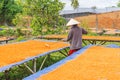 Tay Ninh Chili Shrimp Salt (Muoi Tom), Tay Ninh province, Vietnam