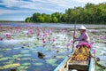 A farmer rowing a boat harvesting water lily in a flooded field on a winter morning Royalty Free Stock Photo