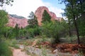 Taylor Creek, Kolob Canyons, Zion National Park, Utah Royalty Free Stock Photo