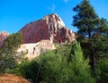 Taylor Creek, Kolob Canyons, Zion National Park, Utah Royalty Free Stock Photo