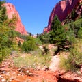 Taylor Creek Trail Kolob Canyons Zion National Park 7 Royalty Free Stock Photo