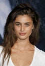 Taylor Hill Royalty Free Stock Photo