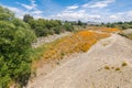 Taylor River with fields of California golden poppies in bloom, Marlborough, New Zealand