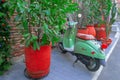 Tbilisi, Georgia, 18 December 2019 - vintage green moped parked in the old town among potted plants in red pots Royalty Free Stock Photo