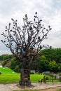 Tbilisi, Georgia - June 20, 2018: Landmark in Rikhe park, city center of Tbilisi, statue of iron tree