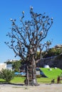 Tbilisi, Georgia - October 06, 2018: Iron tree, artistic sculpture in a European park in Tbilisi - Image