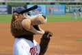 TC - The Mascot of the Minnesota Twins