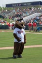 TC - The Mascot of the Minnesota Twins