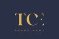 TCE abstract letter logo design Royalty Free Stock Photo
