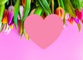 Colorful  tulips Bouquet on pink  background with heart copy space  abstract, spring flowers  Concept template pastel Royalty Free Stock Photo