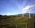 Te Apiti Wind Farm, New Zealand Royalty Free Stock Photo