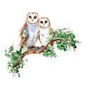 Watercolor Cute Barn Owls Couple sitting on branch Painting Illustration