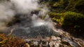 Te Manaroa natural boiling thermal pool in Waikite Valley