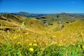 Te Mata Peak and surrounding landscape in Hastings, Hawkes Bay in New Zealand