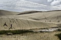 Te Paki Giant Sand Dunes