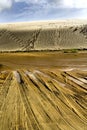 Te Paki Giant Sand Dunes II