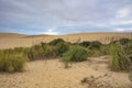 Te Paki Giant Sand Dunes in Pukenui, New Zealand