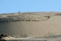 Te Paki Sand Dunes Royalty Free Stock Photo