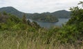 Te Urewera National Park forest walk Royalty Free Stock Photo