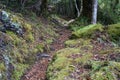 Te Urewera National Park