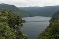 Te Urewera National Park Royalty Free Stock Photo