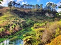 Te Waihou Blue Spring in New Zealand