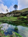 Te Waihou Blue Spring in New Zealand