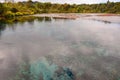 Pupu Springs and forest, Golden Bay, New Zealand Royalty Free Stock Photo