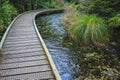 Te Waikoropupu Springs, also known as Pupu Springs, near Takaka, South Island, New Zealand Royalty Free Stock Photo