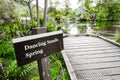 Te Waikoropupu Springs, Pupu Springs, Golden Bay, New Zealand: crystal clear water flows from subterranean underground spring well Royalty Free Stock Photo