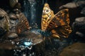 te world-buildingWater Tag with Butterflies and Fairies: A Hyper-Detailed and Color-Coded Wonder in Unreal Engine 5