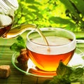 Tea Royalty Free Stock Photo