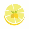 Lemon concept line icon