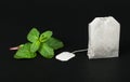 Tea bag and fresh mint Royalty Free Stock Photo