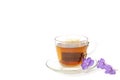 Tea bag in a glass cup with purple flower isolated in white background. Royalty Free Stock Photo