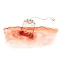 tea bag with goji berries in water, watercolor illustration of dissolving tea, making a hot drink in watercolor close-up Royalty Free Stock Photo