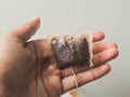 The tea bag that has been used is grasped by human hands Royalty Free Stock Photo