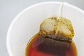 Tea bag in paper cup and hot water Royalty Free Stock Photo