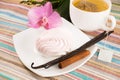 Tea bag and pink marshmallow on a saucer with a vanilla, cinnamon Royalty Free Stock Photo