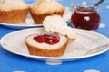 Tea biscuit with raspberry jam Royalty Free Stock Photo