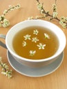 Tea with blackthorn flowers Royalty Free Stock Photo