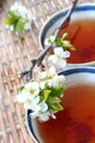 Tea and Blossom